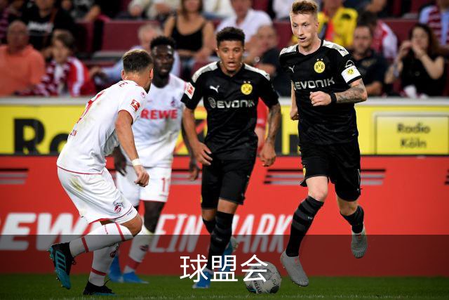 球盟会公司介绍图片